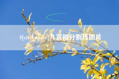 广饶九宫图分割线图片