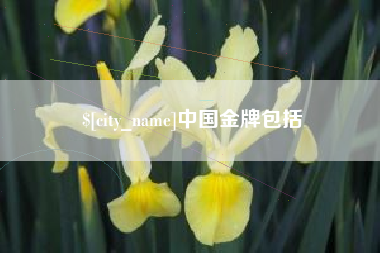 广饶中国金牌包括