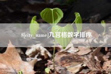 广饶九宫格数字排序