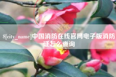 广饶中国消防在线官网电子版消防证怎么查询