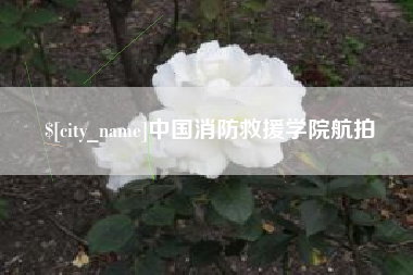 广饶中国消防救援学院航拍