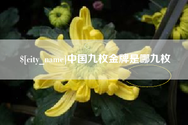 广饶中国九枚金牌是哪九枚
