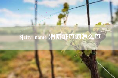 广饶消防证查询怎么查