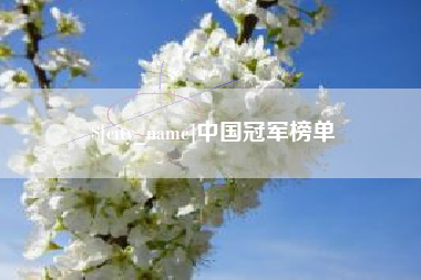 广饶中国冠军榜单
