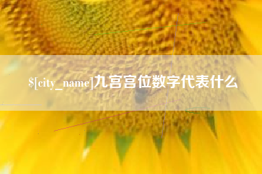 广饶九宫宫位数字代表什么