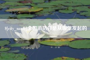 广饶全国消防日是从哪年发起的
