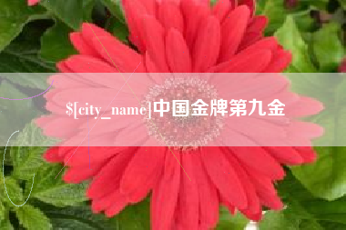 广饶中国金牌第九金