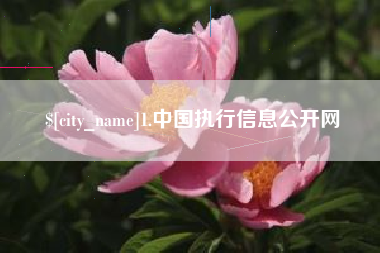广饶1.中国执行信息公开网