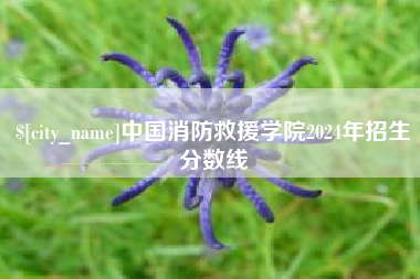 广饶中国消防救援学院2024年招生分数线