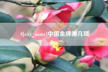 广饶中国金牌哪几项