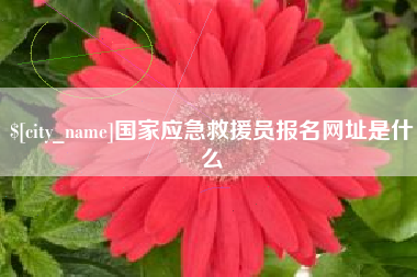 广饶国家应急救援员报名网址是什么
