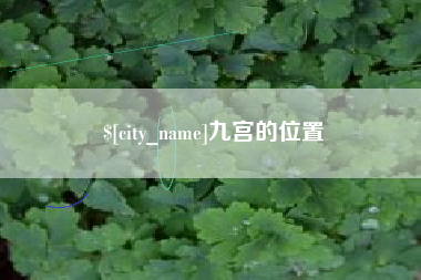 广饶九宫的位置
