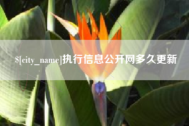 广饶执行信息公开网多久更新