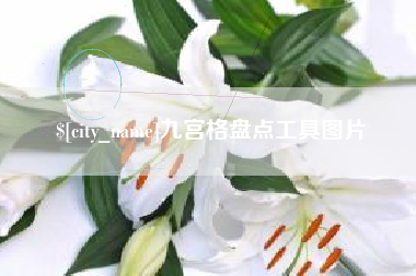 广饶九宫格盘点工具图片