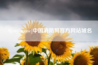 广饶中国消防网官方网站域名