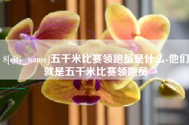 广饶五千米比赛领跑员是什么-他们就是五千米比赛领跑员