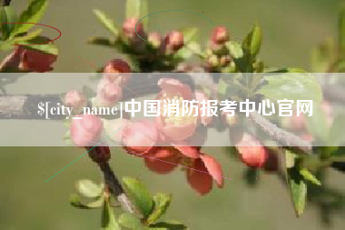广饶中国消防报考中心官网