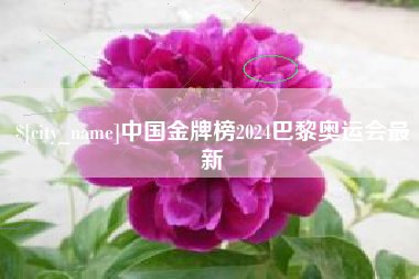 广饶中国金牌榜2024巴黎奥运会最新