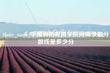 广饶中国消防救援学院河南录取分数线是多少分