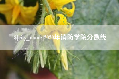 广饶2020年消防学院分数线