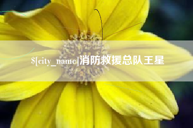 广饶消防救援总队王星