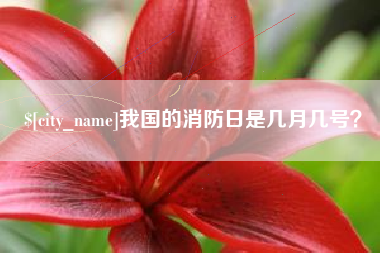 广饶我国的消防日是几月几号？