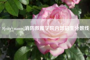 广饶消防救援学院内部招生分数线