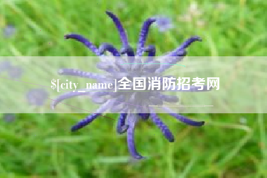 广饶全国消防招考网