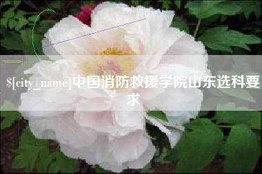 广饶中国消防救援学院山东选科要求