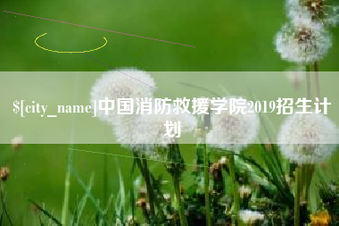 广饶中国消防救援学院2019招生计划