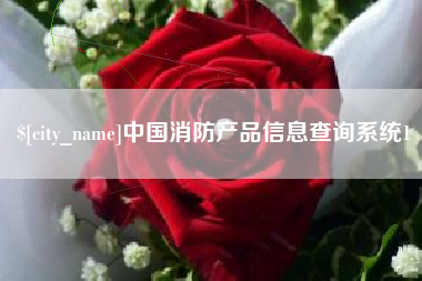 广饶中国消防产品信息查询系统1