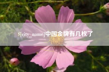 广饶中国金牌有几枚了