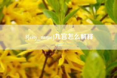 广饶九宫怎么解释