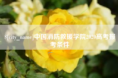 广饶中国消防救援学院2020高考报考条件