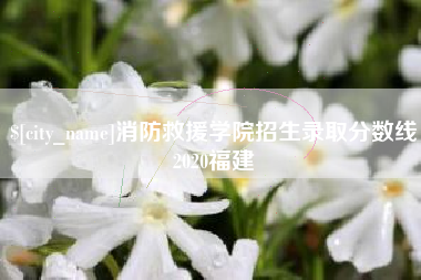 广饶消防救援学院招生录取分数线2020福建