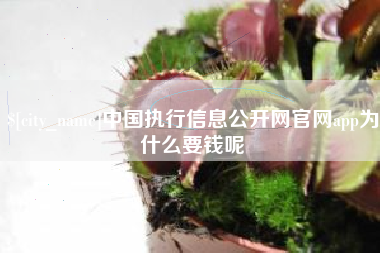 广饶中国执行信息公开网官网app为什么要钱呢