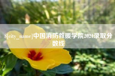 广饶中国消防救援学院2021录取分数线