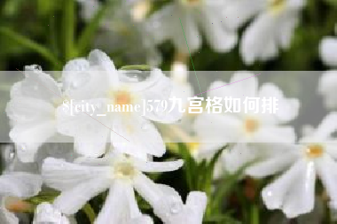广饶579九宫格如何排