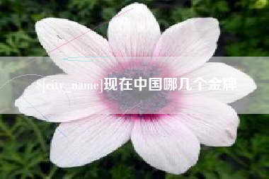 广饶现在中国哪几个金牌