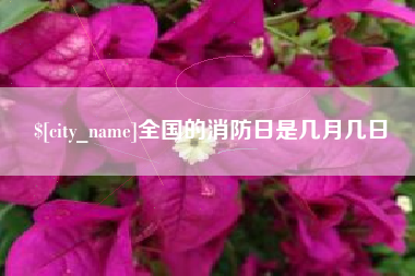 广饶全国的消防日是几月几日