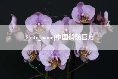 广饶中国消防官方