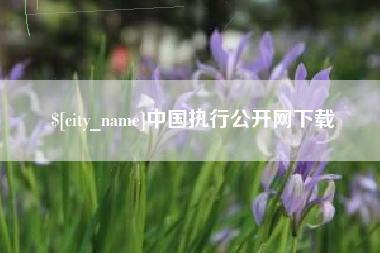 广饶中国执行公开网下载