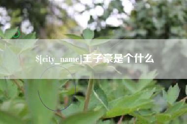广饶王子豪是个什么