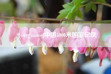 广饶中国5000米国家记录