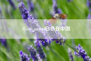 广饶白色在中国