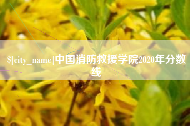广饶中国消防救援学院2020年分数线