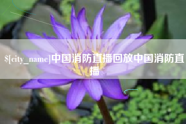 广饶中国消防直播回放中国消防直播