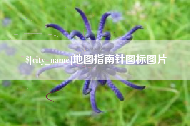 广饶地图指南针图标图片