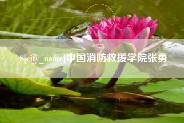 广饶中国消防救援学院张勇