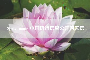 广饶中国执行信息公开网失信